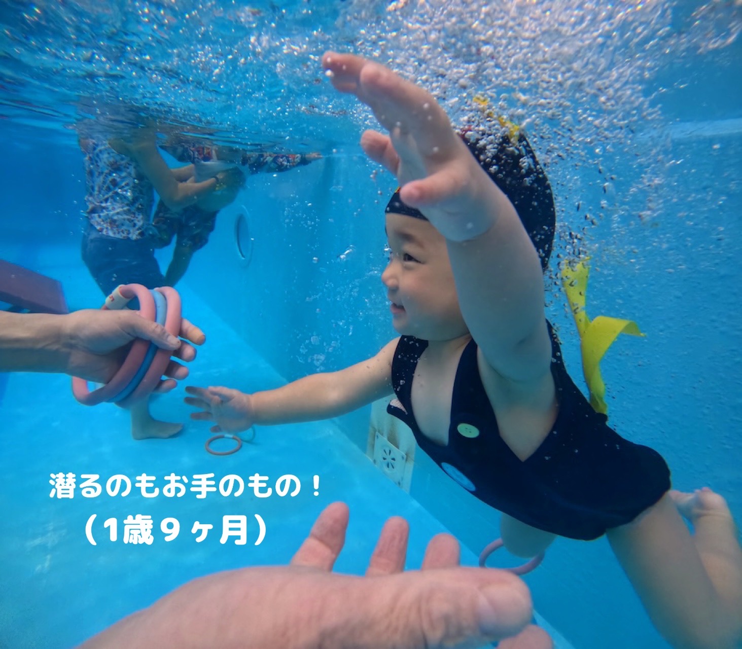 画像の説明