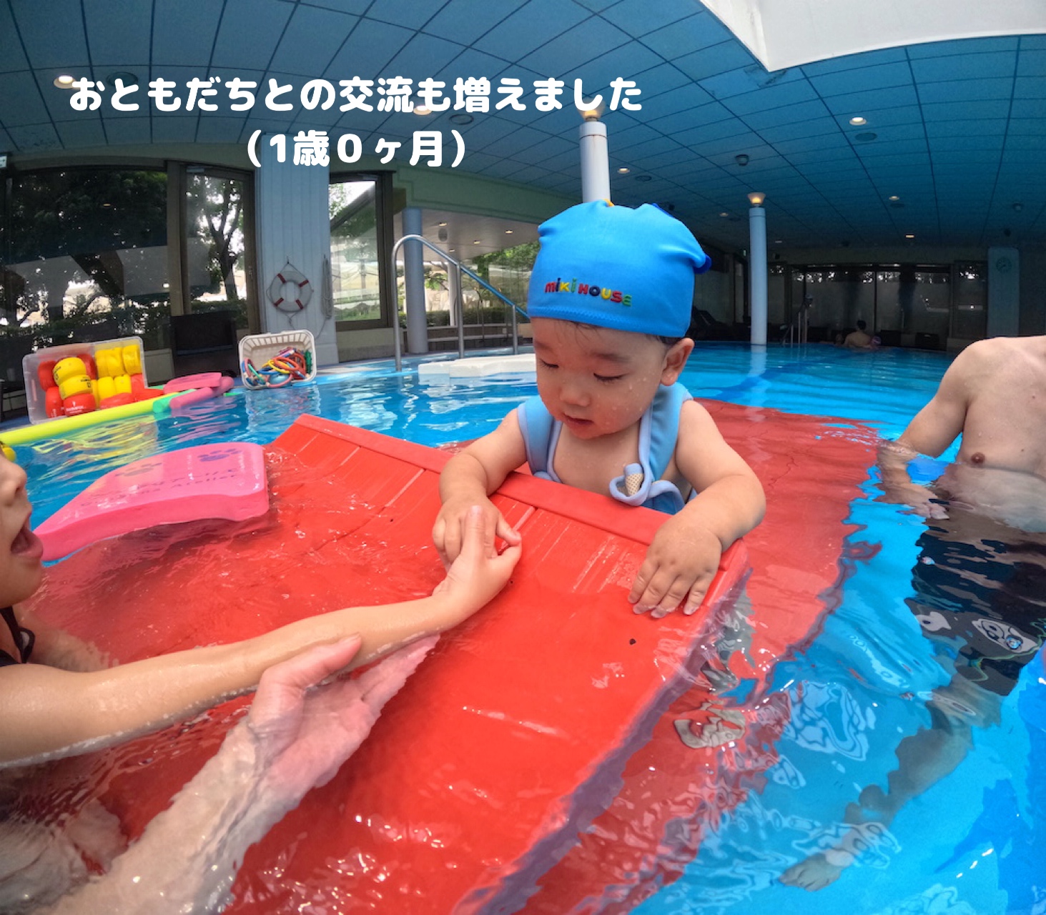 画像の説明