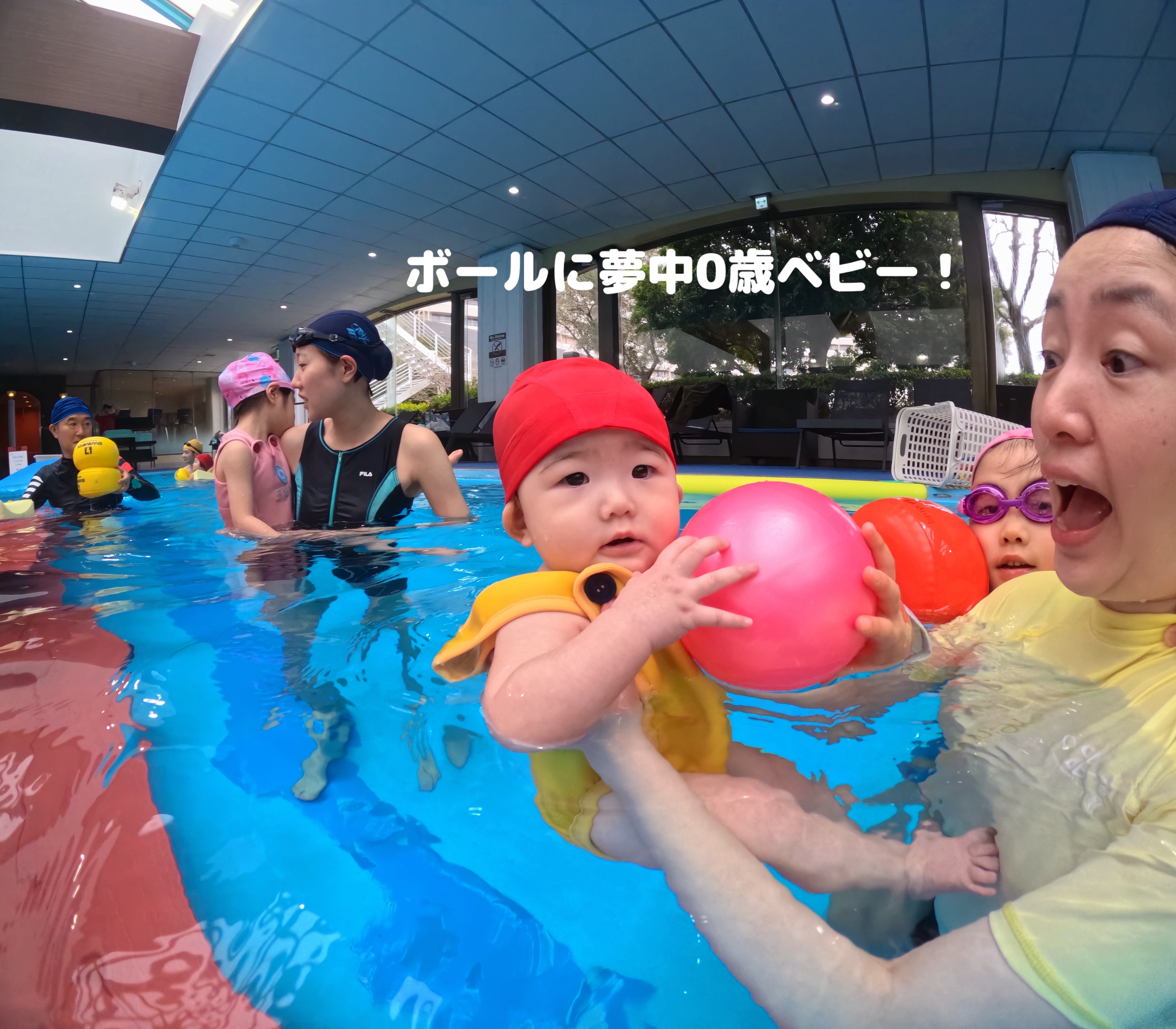 画像の説明